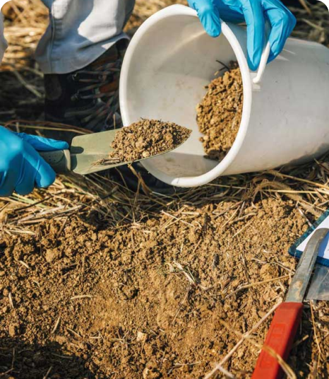 a person collecting soil samples in a bucket